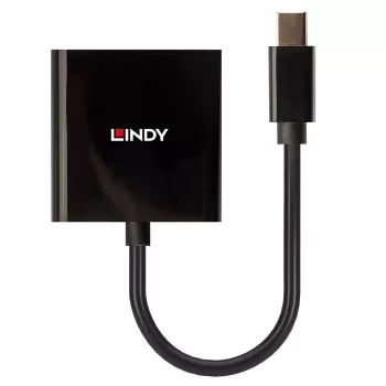 Lindy Mini DisplayPort auf DVI Aktiv-Converter 0,16 m Schwarz