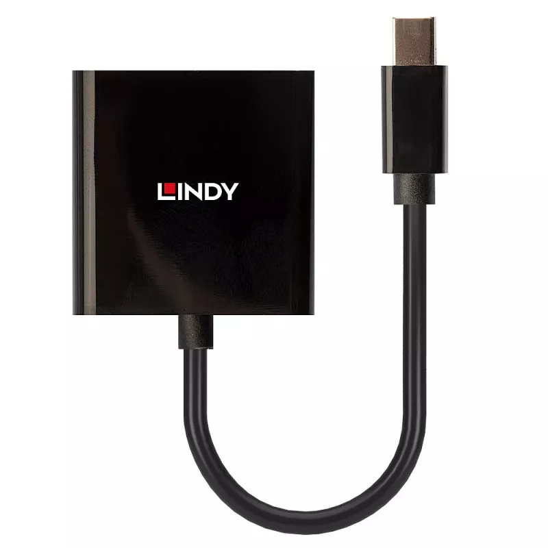 Lindy Mini DisplayPort auf DVI Aktiv-Converter 0,16 m Schwarz