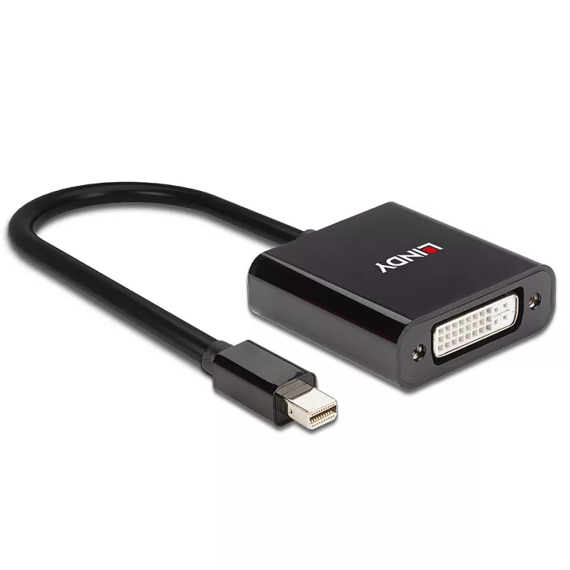 Lindy Mini DisplayPort auf DVI Aktiv-Converter 0,16 m Schwarz