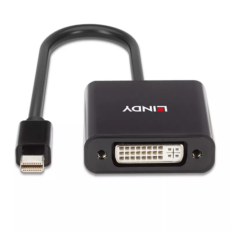 Lindy Mini DisplayPort auf DVI Aktiv-Converter 0,16 m Schwarz