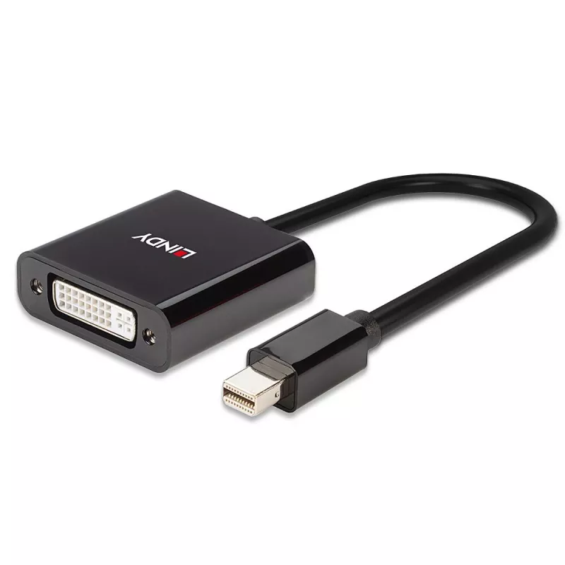 Lindy Mini DisplayPort auf DVI Aktiv-Converter 0,16 m Schwarz