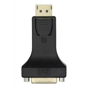 DisplayPort auf DVI-I Adapter ProXtend DP1.2-DVI245