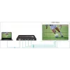 Vivolink VLVW1X4 Videowand-Prozessor Schwarz 11 W