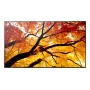 Sharp MultiSync PN-M982 Interaktives Flachdisplay 2,48 m (97,5 Zoll) LED 550 cd/m² 4K Ultra HD Schwarz 24/7