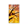 Sharp MultiSync PN-M982 Interaktives Flachdisplay 2,48 m (97,5 Zoll) LED 550 cd/m² 4K Ultra HD Schwarz 24/7