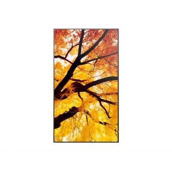Sharp MultiSync PN-M982 Interaktives Flachdisplay 2,48 m (97,5 Zoll) LED 550 cd/m² 4K Ultra HD Schwarz 24/7