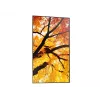 Sharp MultiSync PN-M982 Interaktives Flachdisplay 2,48 m (97,5 Zoll) LED 550 cd/m² 4K Ultra HD Schwarz 24/7