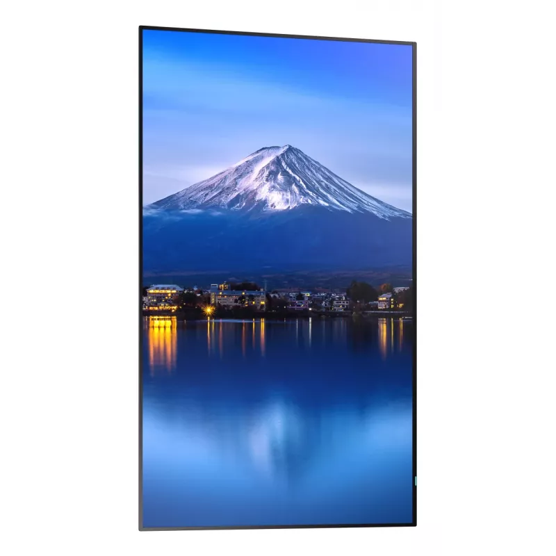 Sharp MultiSync P556 Kiosk-Design 139,7 cm (55 Zoll) LCD 700 cd/m² 4K Ultra HD Schwarz Eingebauter Prozessor
