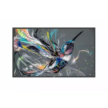 Digital-Signage-Flachbildschirm Philips 50BDL3650QE/00 49,5 Zoll 4K Ultra HD 3840 x 2160