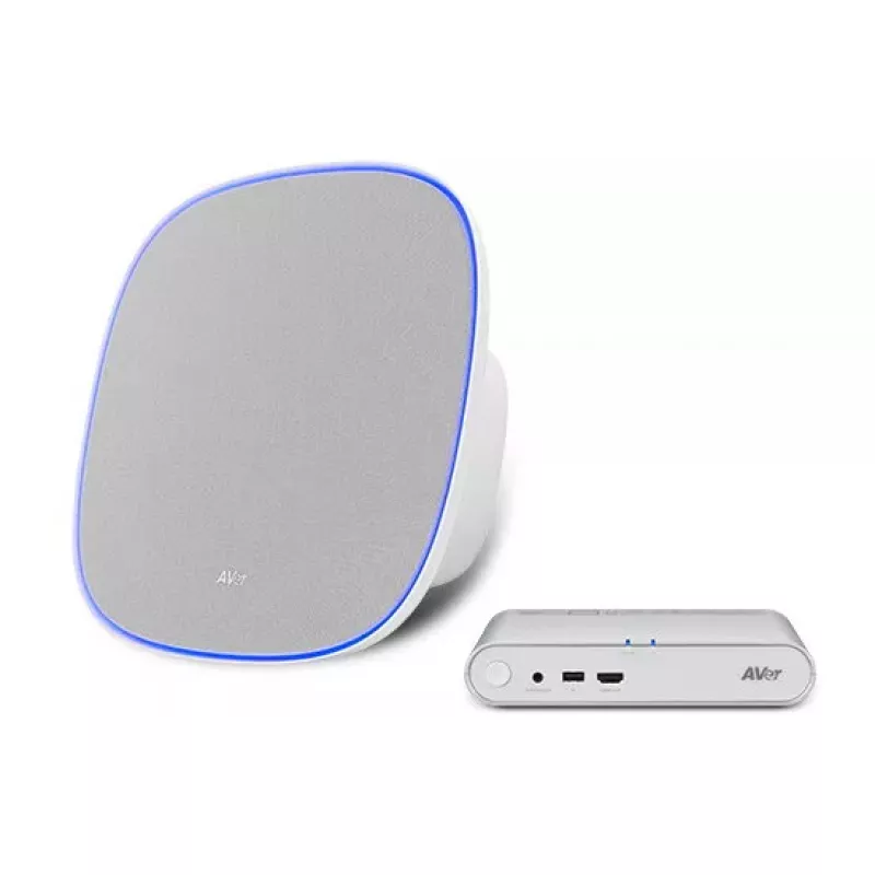 Speakerhone AVer FONE700 Grau Omnidirektionales Mikrofon 3,5 m Reichweite