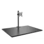 Lindy Single Display Short Bracket mit Mast und Tischklemme