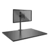 Lindy Single Display Short Bracket mit Mast und Tischklemme