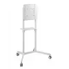 Vivolink VLFS3770 TV-Wandhalterung/Standfuß 177,8 cm (70 Zoll) Weiß