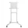 Vivolink VLFS3770 TV-Wandhalterung/Standfuß 177,8 cm (70 Zoll) Weiß