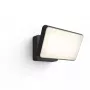 Smarte Außenwandleuchte Philips Hue White Welcome Floodlight, 20,5 W LED, 220–240 V Eingang, 24 V Leuchtmittel, schwarz, 160×220×153 mm