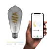 Intelligente Glühbirne Avanca International BV Hombli HBEB-0211, Wi‑Fi, 5,5 W, grau, A19 (6,1×14,2 cm)