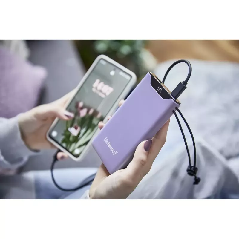 Powerbank Intenso 7332033 10000 mAh