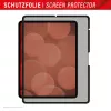 Displex TABLET PRIVACY SAFE abnehmbarer 2-Wege-Sichtschutzfilter für iPad Pro 13 Zoll/Air 13 Zoll (2024/2025)