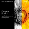 Xerox Genuine PrimeLink C9065 / C9070 Fluorescent Gelb Tonerkartusche - 006R01794