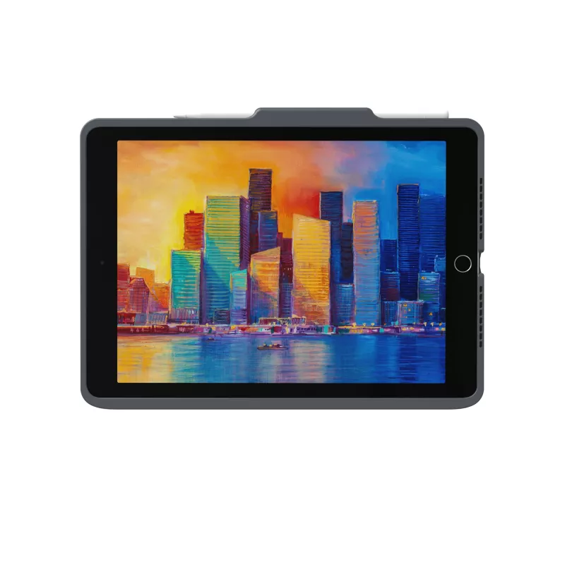ZAGG Tastatur Pro Keys with Trackpad-Apple-iPad 10.2-Schwarz/Gray-German