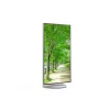 Sharp MultiSync EA272Q Computermonitor 68,6 cm (27 Zoll) 2560 x 1440 Pixel 4K Ultra HD LCD Weiß
