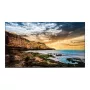 Monitor Samsung QE50T 50 Zoll LED 4K Ultra HD Display
