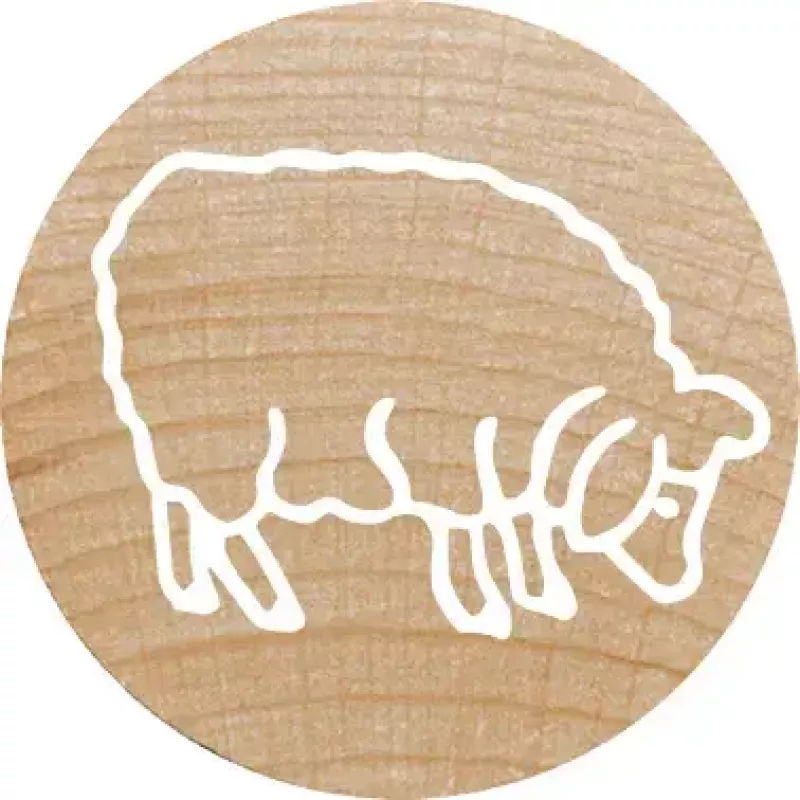 Rundstempel Colop 165225 Gummi Holz 3 cm Durchmesser