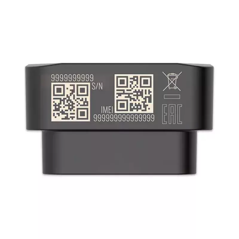 GPS-Tracker Teltonika FMB020 Auto Schwarz Staubresistent 0,128 GB