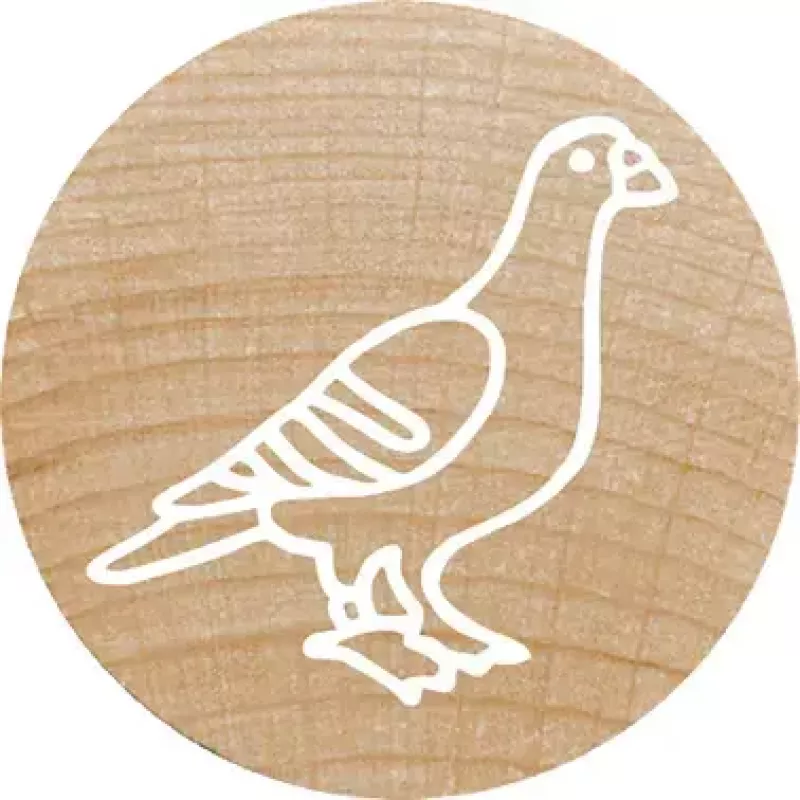 Colop Stempel Colop 165224 Rund Gummi Holz 3 cm