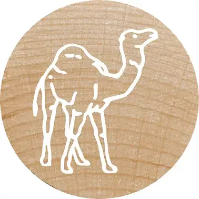 Colop Stempel Colop 165224 Rund Gummi Holz 3 cm