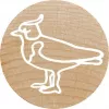 Colop Stempel Colop 165224 Rund Gummi Holz 3 cm