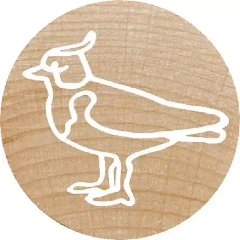 Colop Stempel Colop 165224 Rund Gummi Holz 3 cm