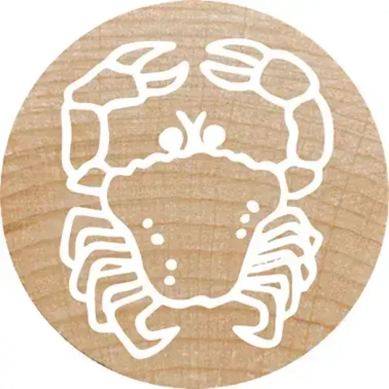 Colop Stempel Colop 165224 Rund Gummi Holz 3 cm
