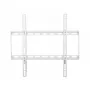 Techly ICA-PLB-162MW TV-Wandhalterung 139,7 cm (55 Zoll) Weiß