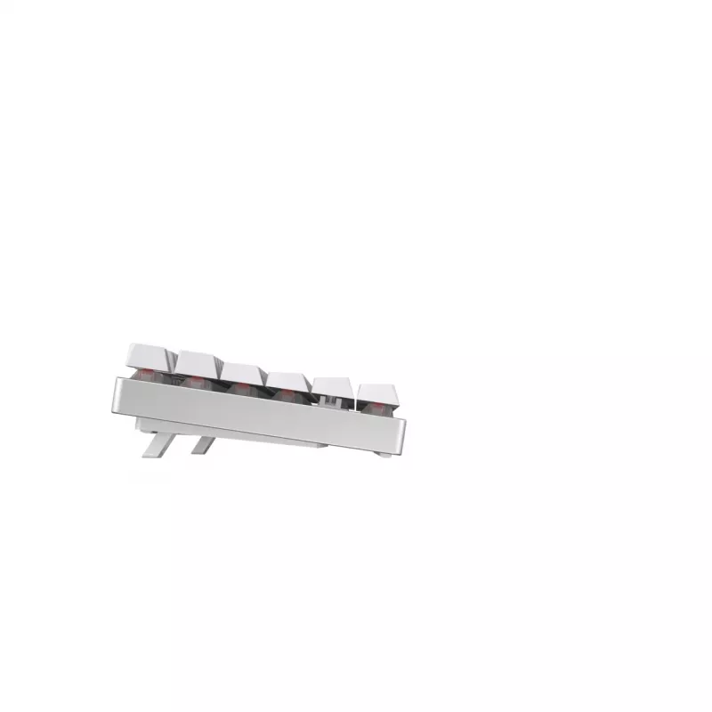 CHERRY MX 8.2 TKL Wireless RGB Tastatur Gaming RF Wireless + Bluetooth QWERTZ Deutsch Weiß