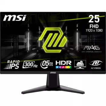 MSI MAG 255XF Computer Monitor 62,2 cm (24,5 Zoll) 1920 x 1080 Pixel Full HD Schwarz