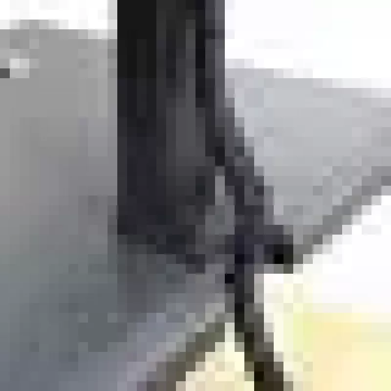Schreibtisch-Konverterstand ERGOTRON WorkFit-T Schwarz — Edelstahlrahmen, Höhe 380 mm, max. Belastung 15,9 kg