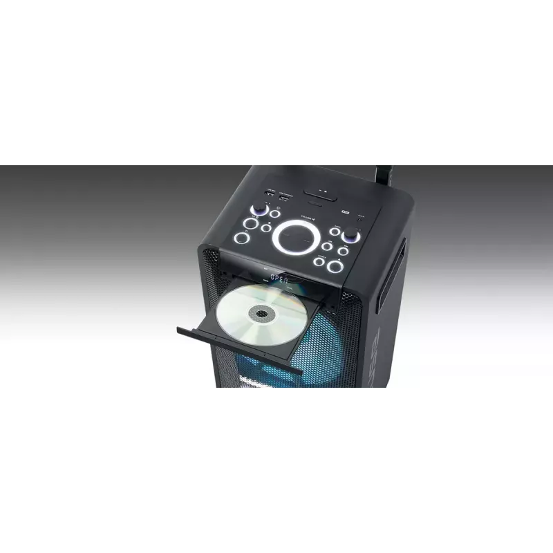 Tragbarer Lautsprecher Muse M-1920 DJ — 300 W RMS, netzbetrieben, 3,5-mm-Eingang, 256×287×534 mm, 7 kg, schwarz
