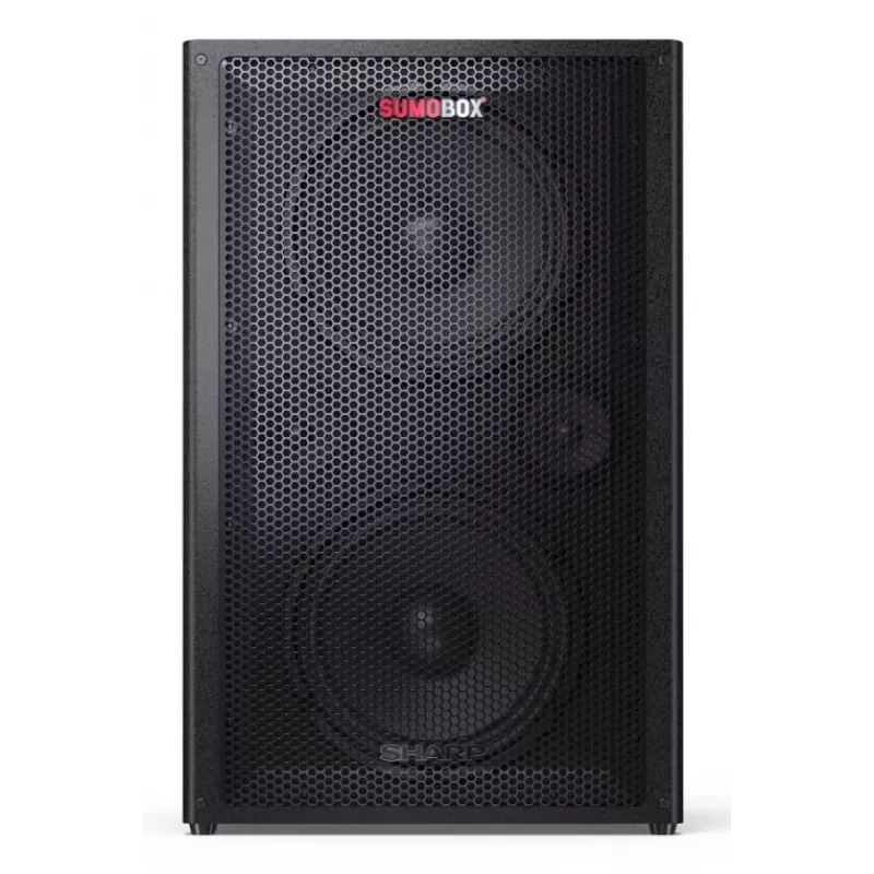 Sharp CP-LS200 tragbarer/Party-Lautsprecher Schwarz 200 W