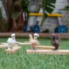 Spielfiguren Schleich FARM WORLD Hühnerfreunde Mehrfarbig 42574