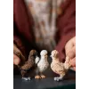 Spielfiguren Schleich FARM WORLD Hühnerfreunde Mehrfarbig 42574
