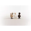 Spielfiguren Schleich FARM WORLD Hühnerfreunde Mehrfarbig 42574