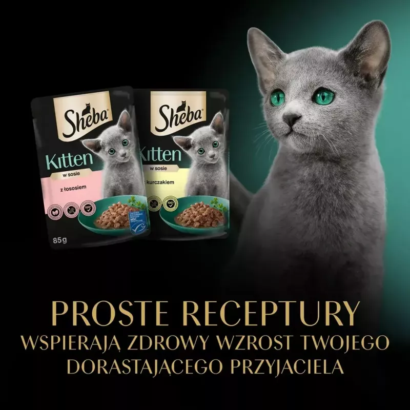 Nassfutter für Katzen Sheba Kitten Selection of Flavors in Sauce 40×85 g — Nassfutter für Kätzchen, 40 Beutel x 85 g, 3,4 kg, Hauptgeschmack Huhn