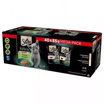 Nassfutter für Katzen Sheba Kitten Selection of Flavors in Sauce 40×85 g — Nassfutter für Kätzchen, 40 Beutel x 85 g, 3,4 kg, Hauptgeschmack Huhn