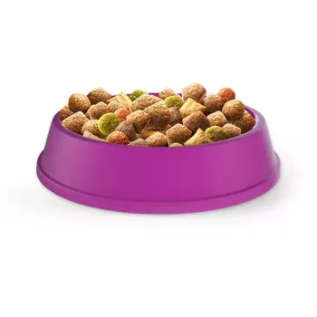 Trockenfutter für ausgewachsene Katzen Whiskas Adult Huhn 14 kg — Protein 30 %, Fett 12 %, Rohfaser 2 %