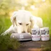 Nassfutter für Hunde VETEXPERT RAW PALEO Adult Monoprotein Schwein 800 g Dose, getreidefrei, gluten- und sojafrei