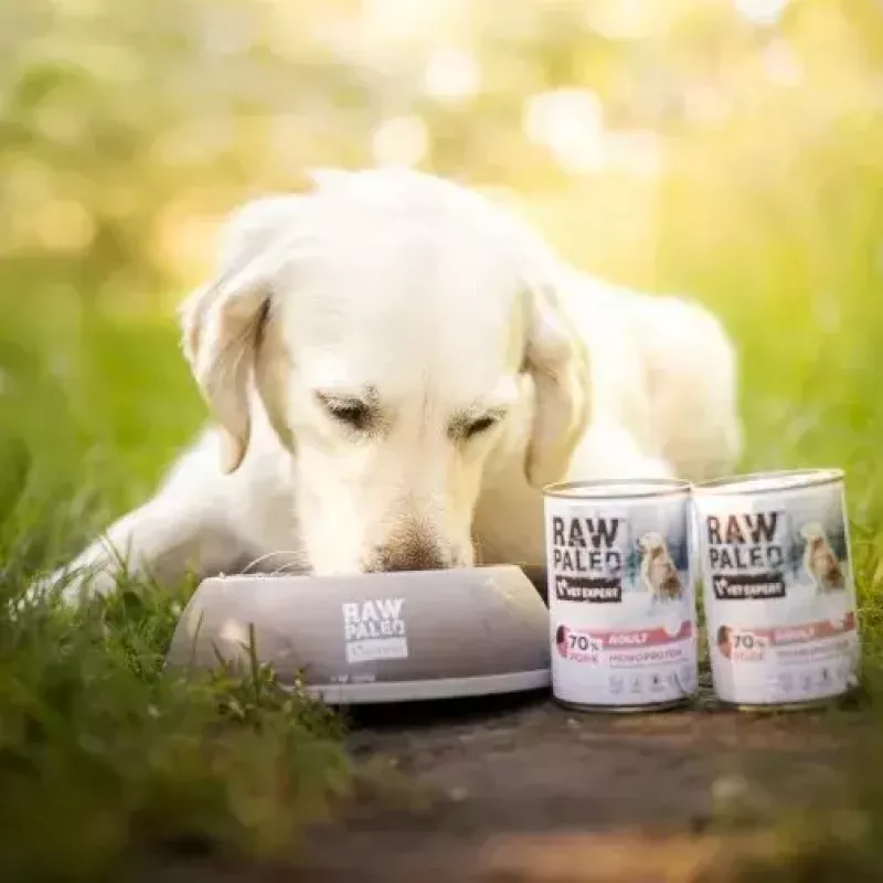 Nassfutter für Hunde VETEXPERT RAW PALEO Adult Monoprotein Schwein 800 g Dose, getreidefrei, gluten- und sojafrei