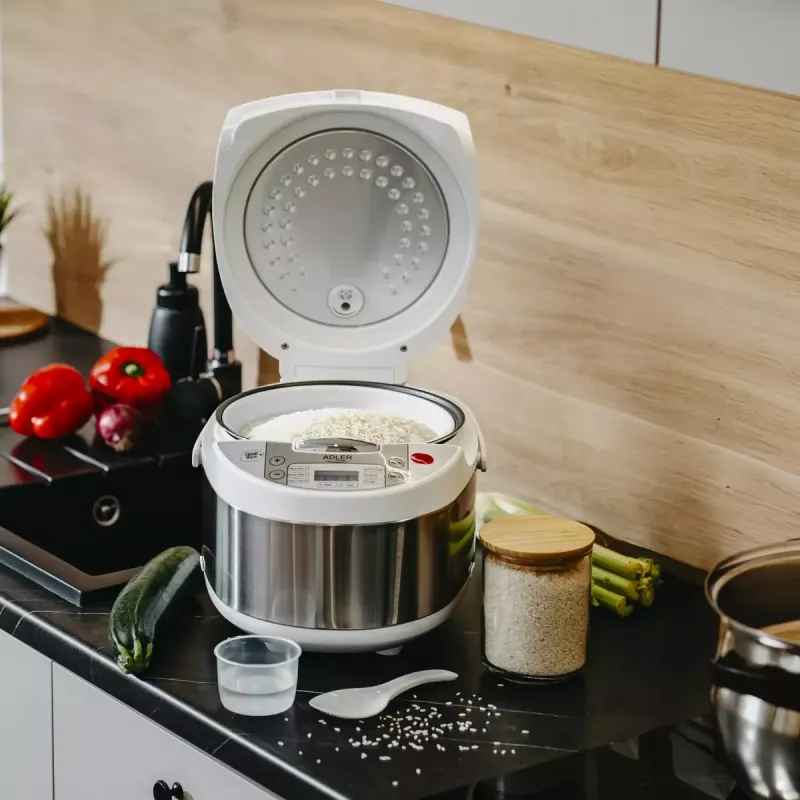 Multikocher Adler AD 6420 — 700 W, 3,25 L Fassungsvermögen, 6 programmierbare Programme, LED-Anzeige