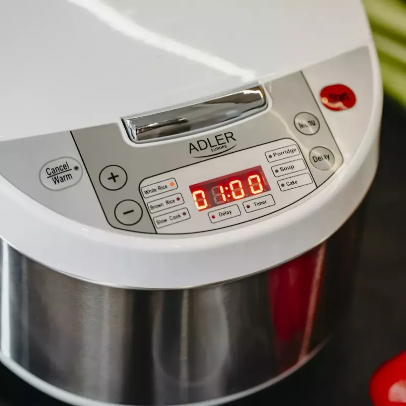 Multikocher Adler AD 6420 — 700 W, 3,25 L Fassungsvermögen, 6 programmierbare Programme, LED-Anzeige