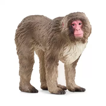 Figur Schleich WILD LIFE Japanmakak Beige Braun Pink 14871